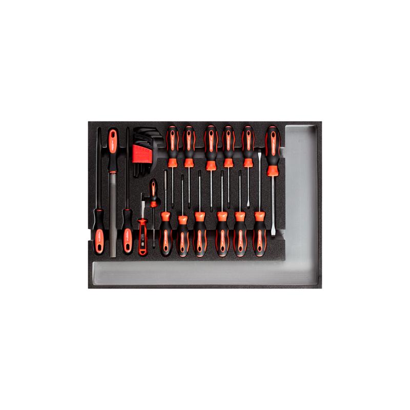 GEDORE Werkzeugsatz Schraubendreher + Feilen Check-Tool-Modul 26-teilig R22350002