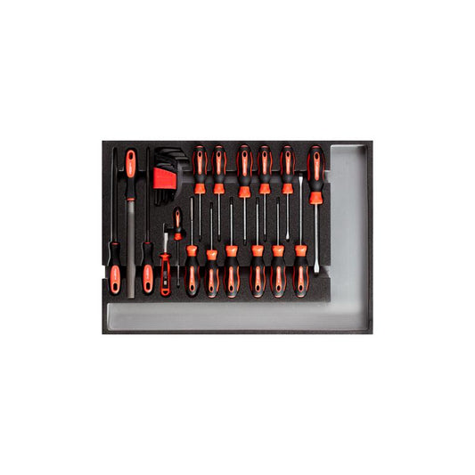 GEDORE Werkzeugsatz Schraubendreher + Feilen Check-Tool-Modul 26-teilig R22350002